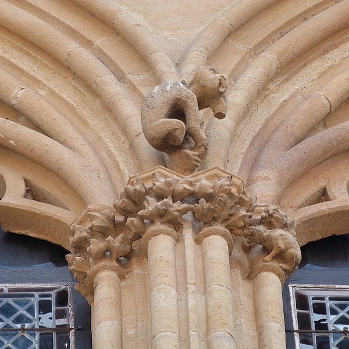 Photo de Maison du Grand Fauconnier de Cordes-sur-Ciel