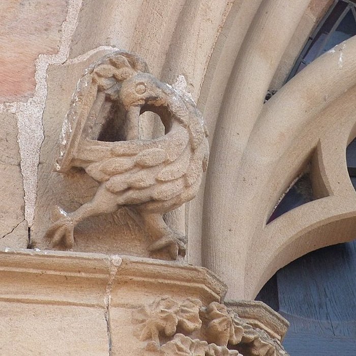 Photo de Maison du Grand Fauconnier de Cordes-sur-Ciel