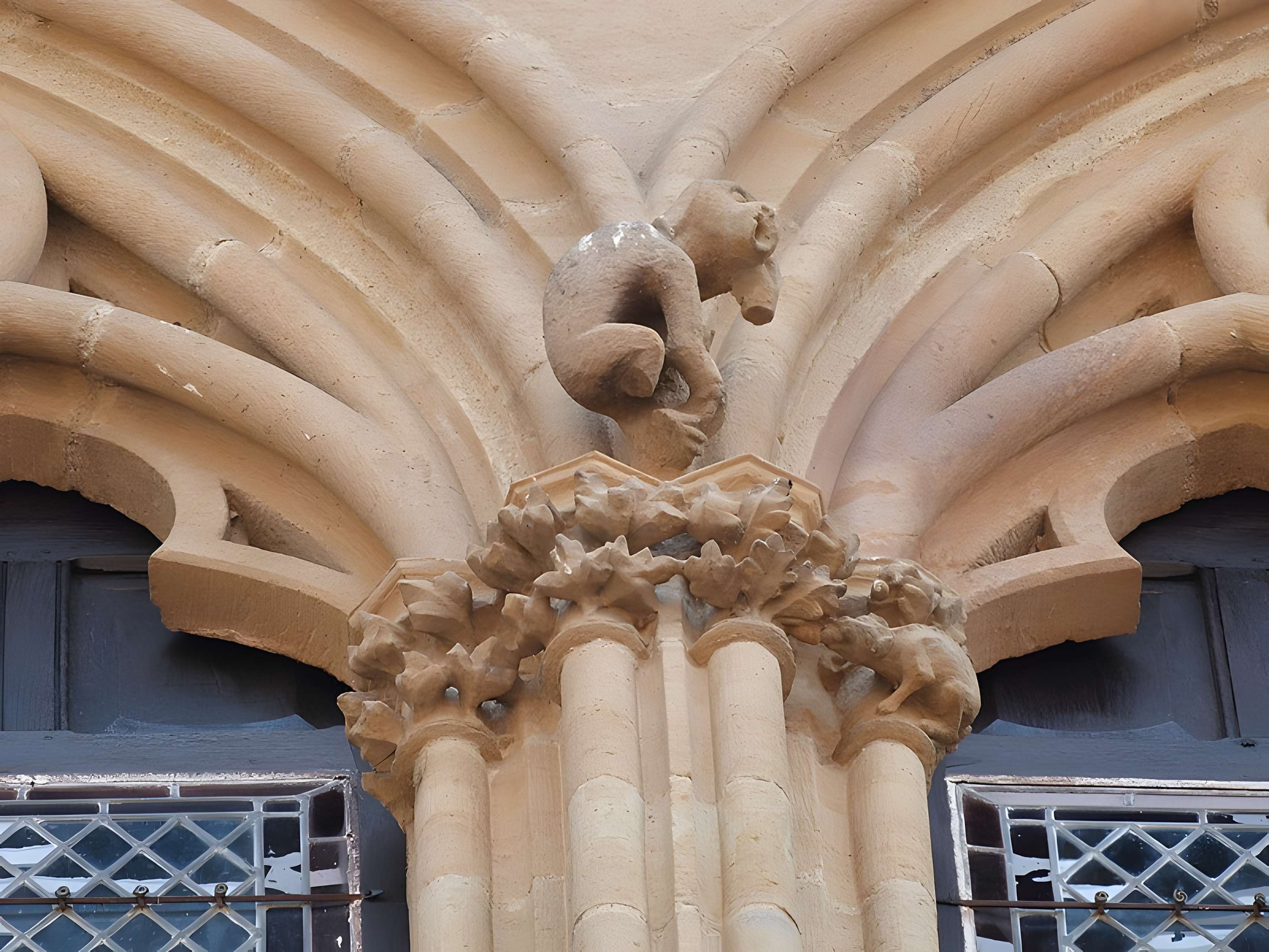 Maison du Grand Fauconnier de Cordes-sur-Ciel