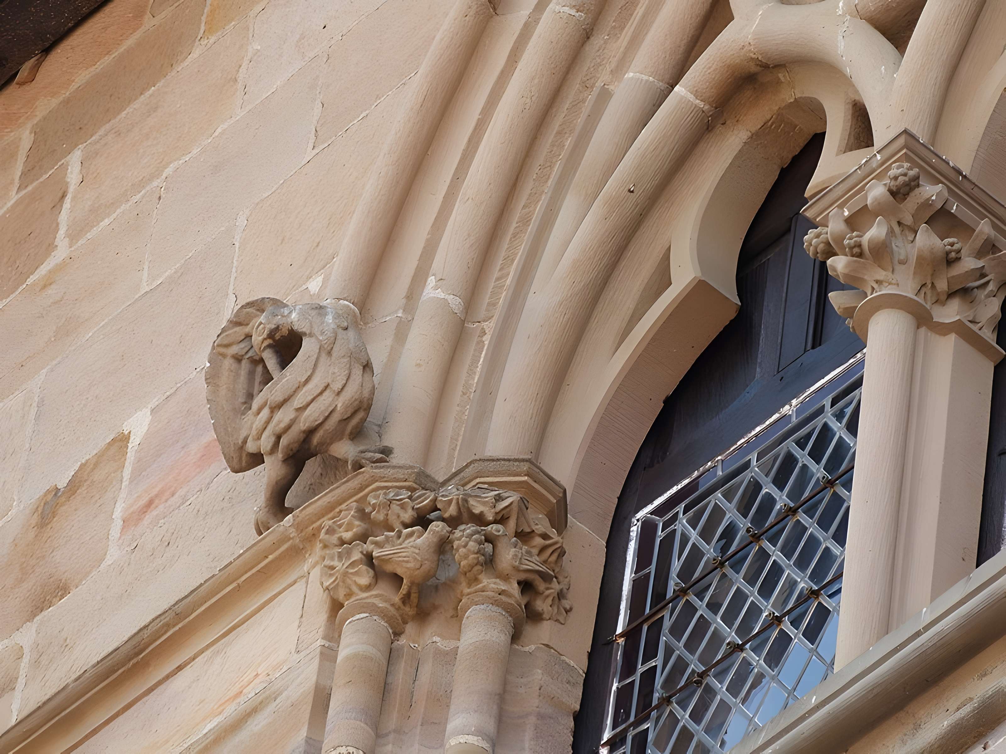 Maison du Grand Fauconnier de Cordes-sur-Ciel