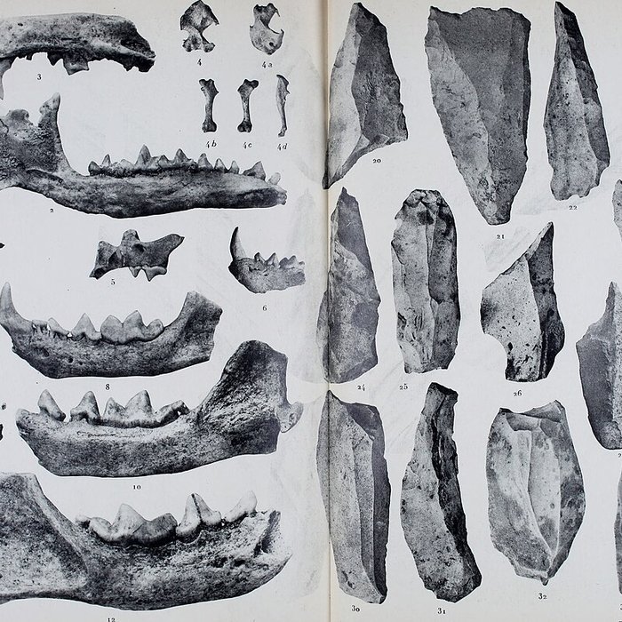 Photo de Abri sous roche de la Colombière à Neuville-sur-Ain