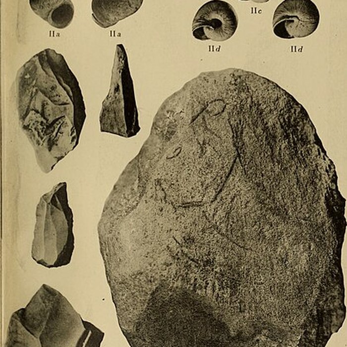 Photo de Abri sous roche de la Colombière à Neuville-sur-Ain