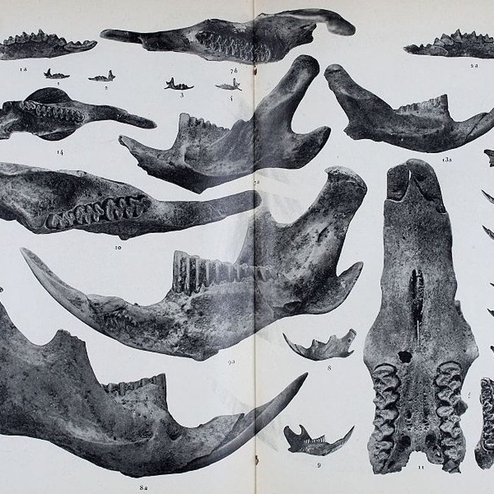 Photo de Abri sous roche de la Colombière à Neuville-sur-Ain