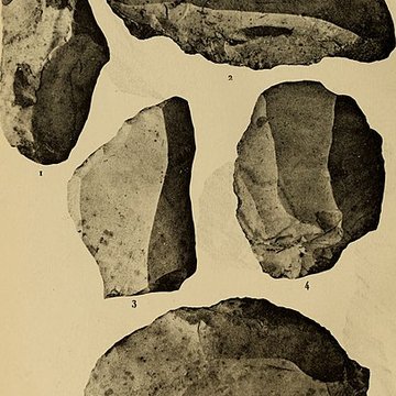 Abri sous roche de la Colombière à Neuville-sur-Ain