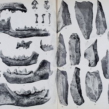 Abri sous roche de la Colombière à Neuville-sur-Ain