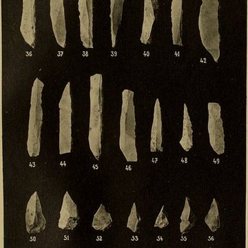 Abri sous roche de la Colombière à Neuville-sur-Ain