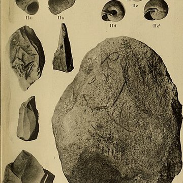 Abri sous roche de la Colombière à Neuville-sur-Ain