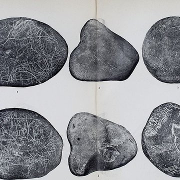 Abri sous roche de la Colombière à Neuville-sur-Ain