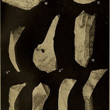 Abri sous roche de la Colombière à Neuville-sur-Ain