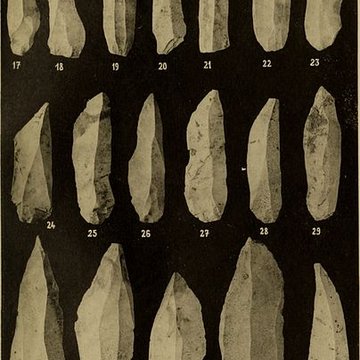 Abri sous roche de la Colombière à Neuville-sur-Ain