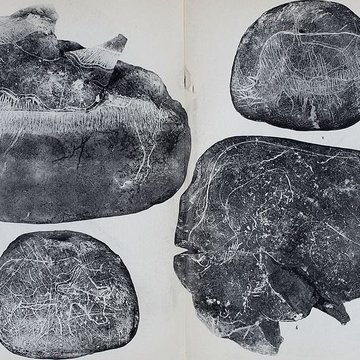 Abri sous roche de la Colombière à Neuville-sur-Ain