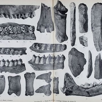 Abri sous roche de la Colombière à Neuville-sur-Ain