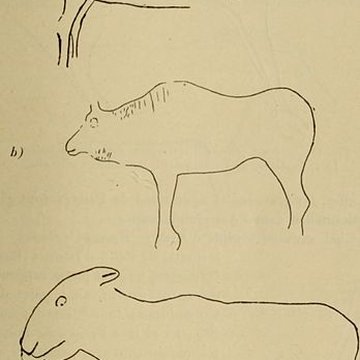 Abri sous roche de la Colombière à Neuville-sur-Ain