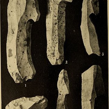 Abri sous roche de la Colombière à Neuville-sur-Ain