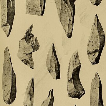 Abri sous roche de la Colombière à Neuville-sur-Ain