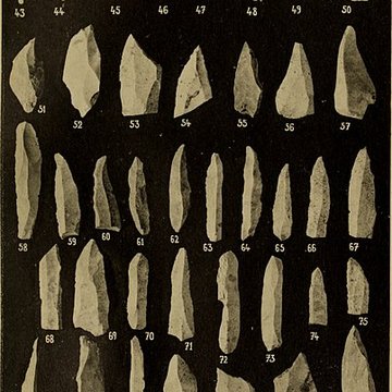 Abri sous roche de la Colombière à Neuville-sur-Ain