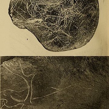 Abri sous roche de la Colombière à Neuville-sur-Ain