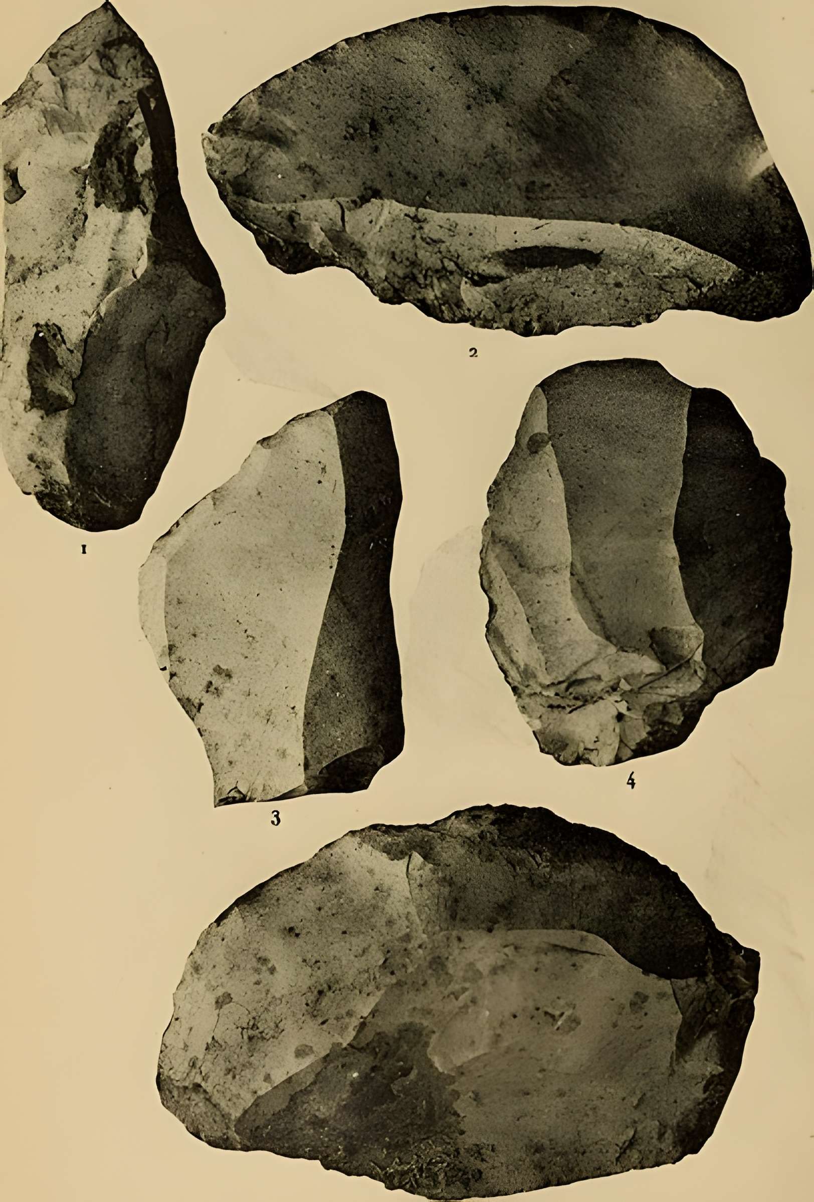 Abri sous roche de la Colombière à Neuville-sur-Ain