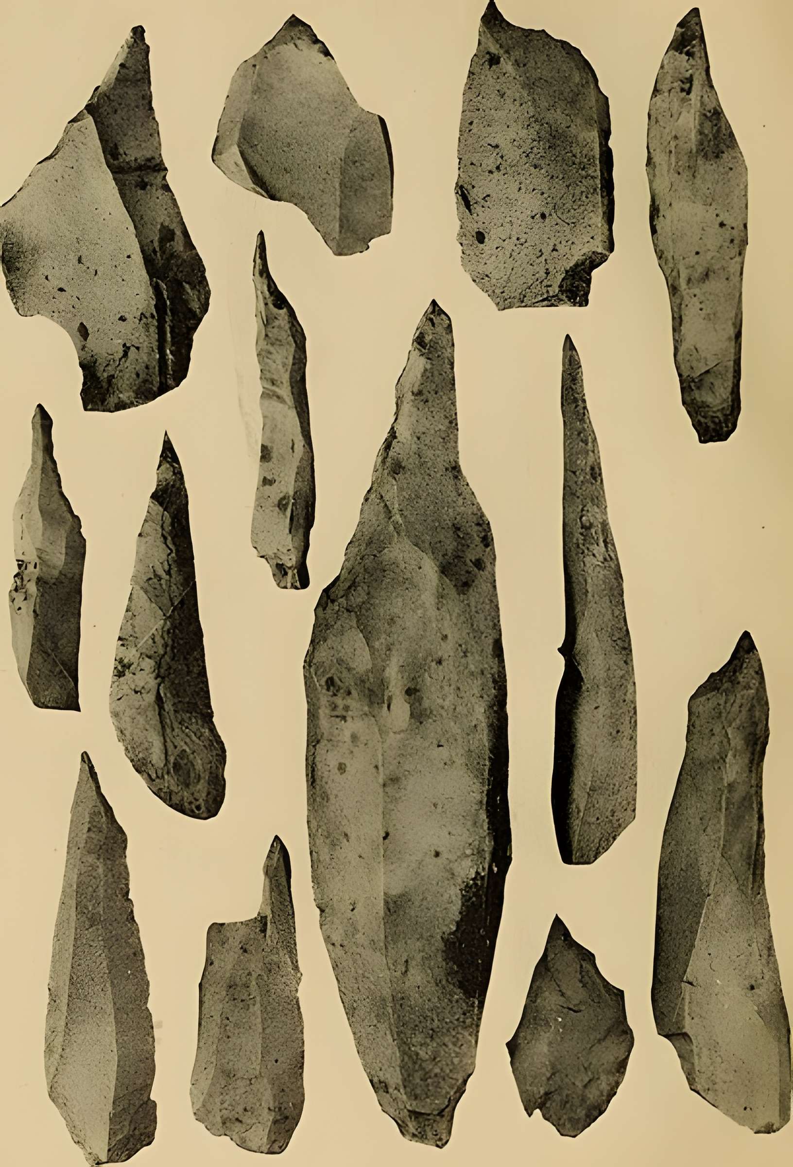 Abri sous roche de la Colombière à Neuville-sur-Ain