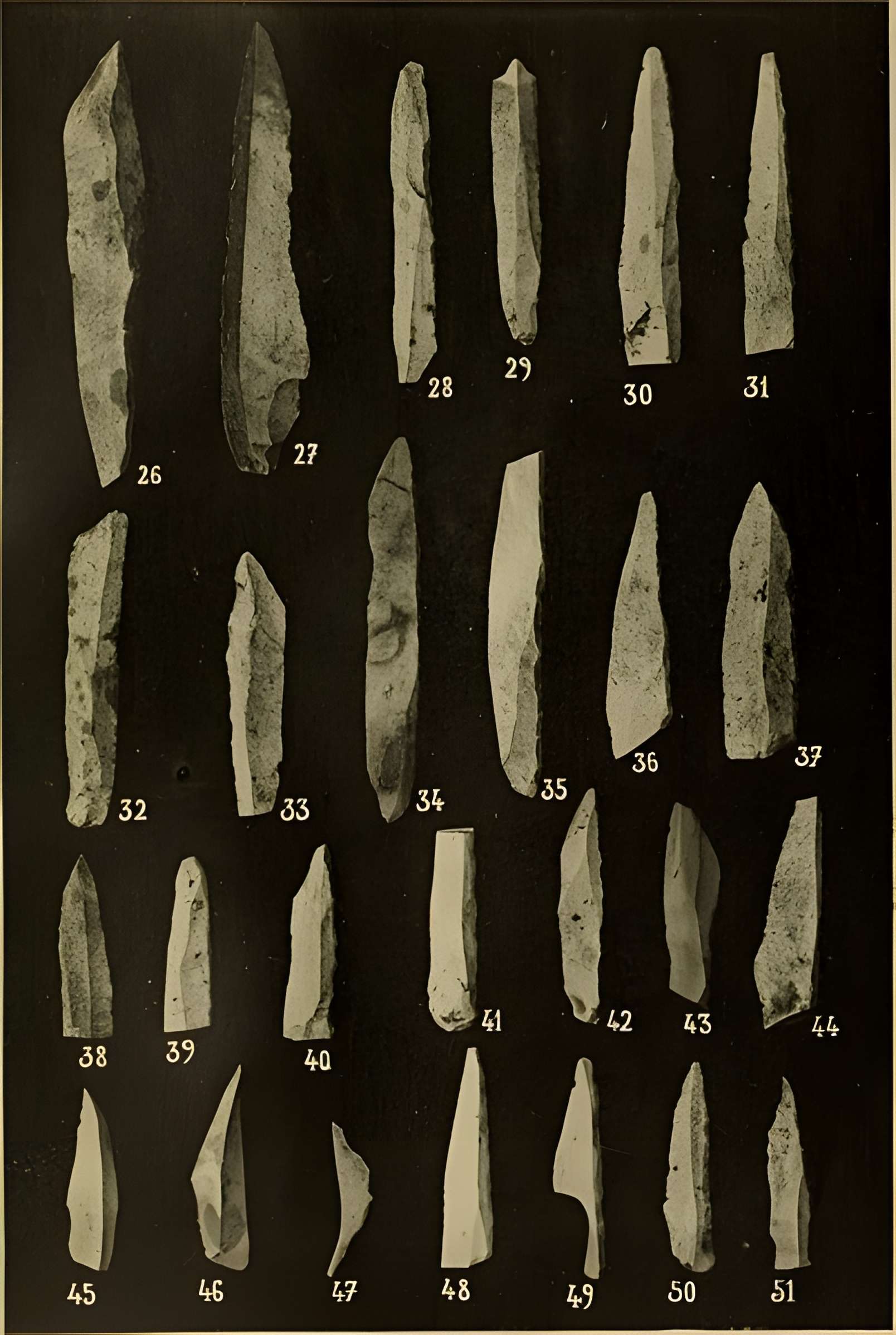Abri sous roche de la Colombière à Neuville-sur-Ain