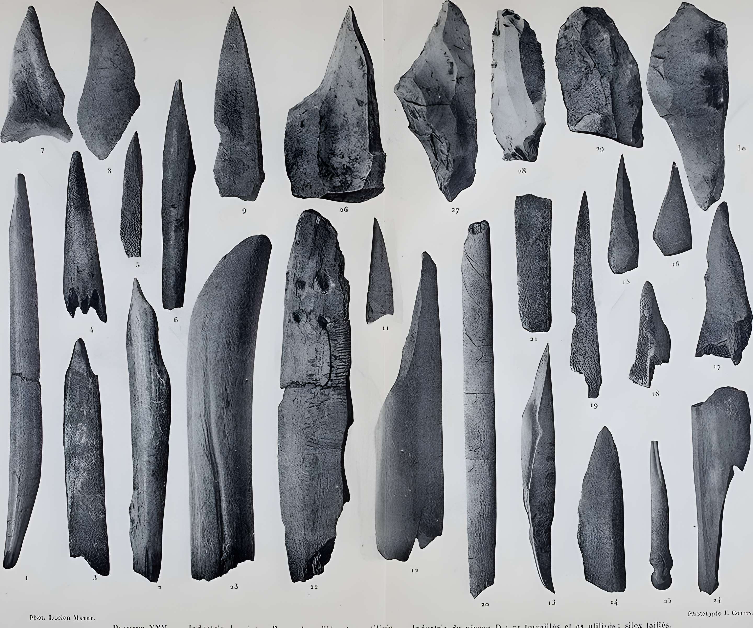 Abri sous roche de la Colombière à Neuville-sur-Ain