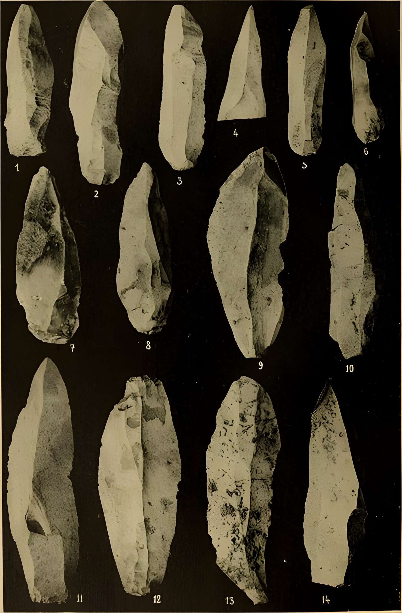 Abri sous roche de la Colombière à Neuville-sur-Ain