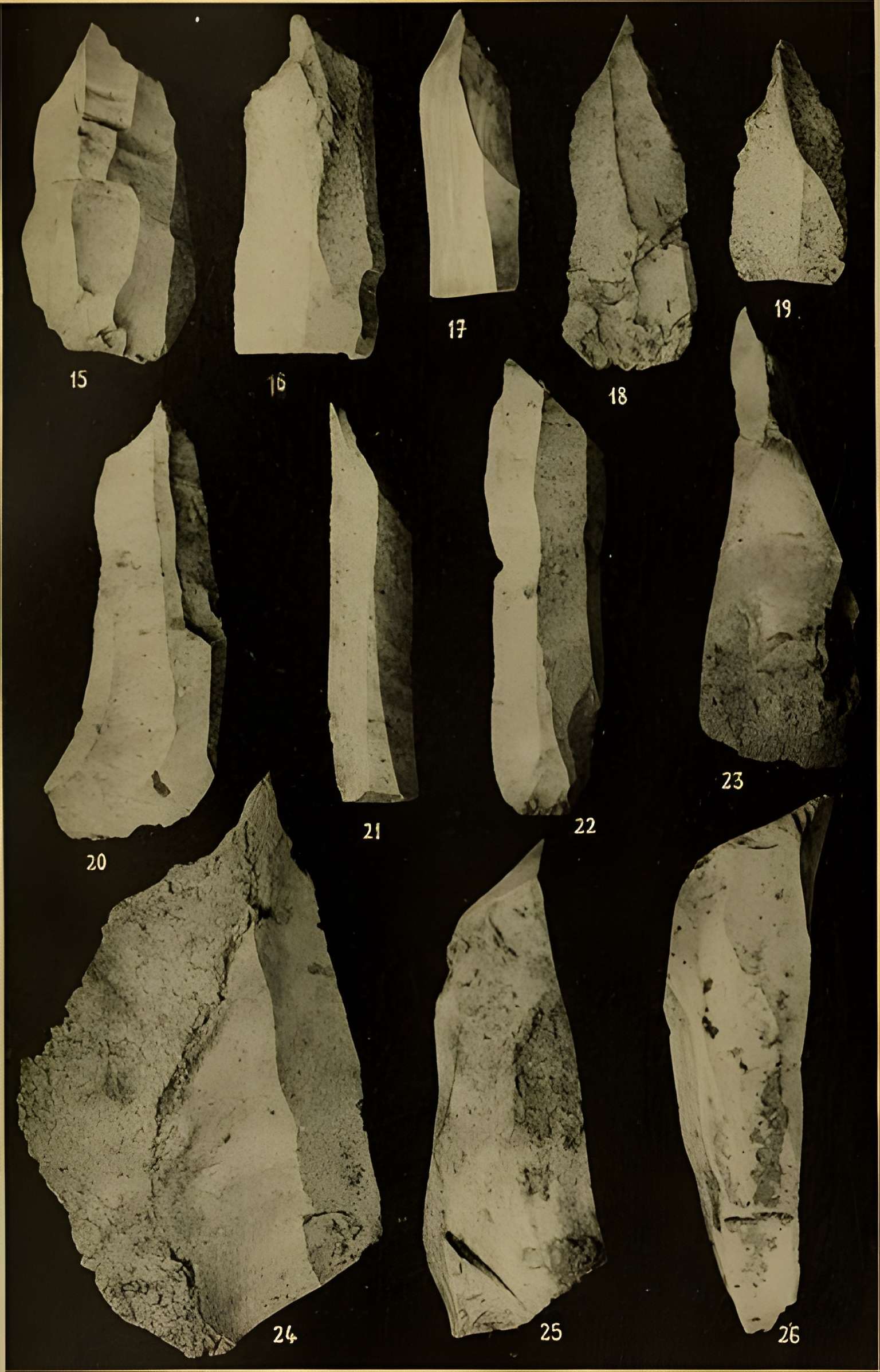 Abri sous roche de la Colombière à Neuville-sur-Ain
