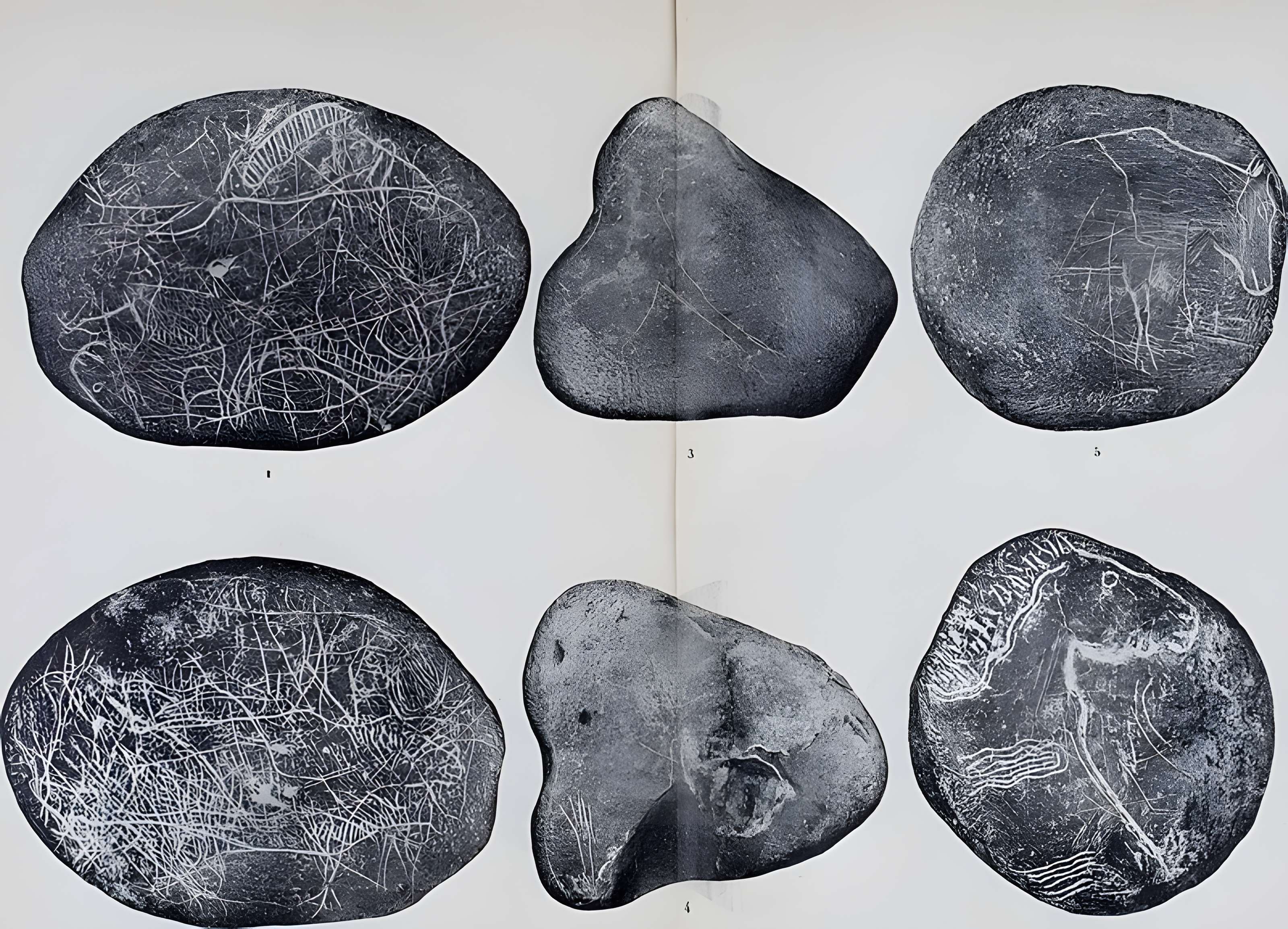 Abri sous roche de la Colombière à Neuville-sur-Ain