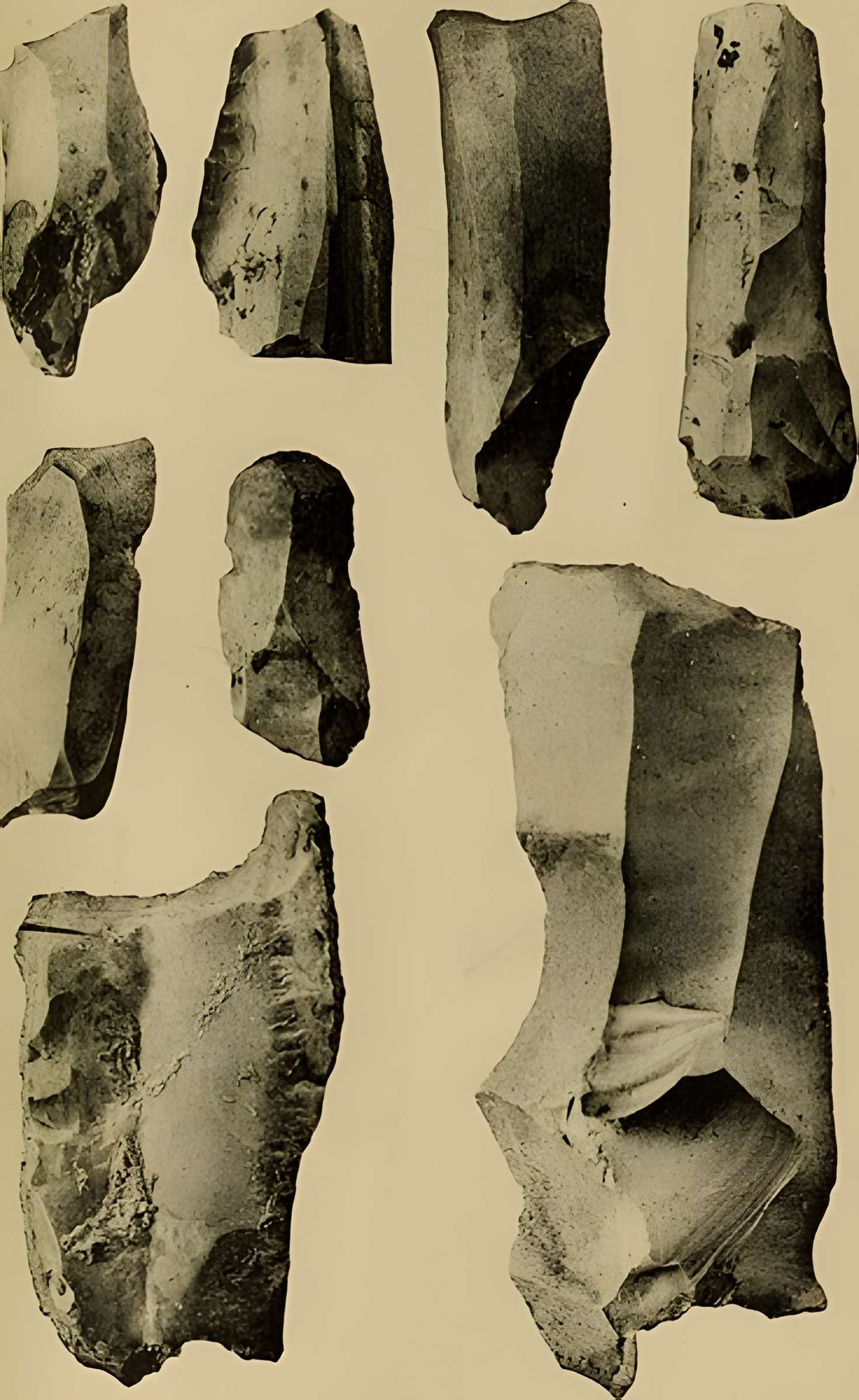 Abri sous roche de la Colombière à Neuville-sur-Ain