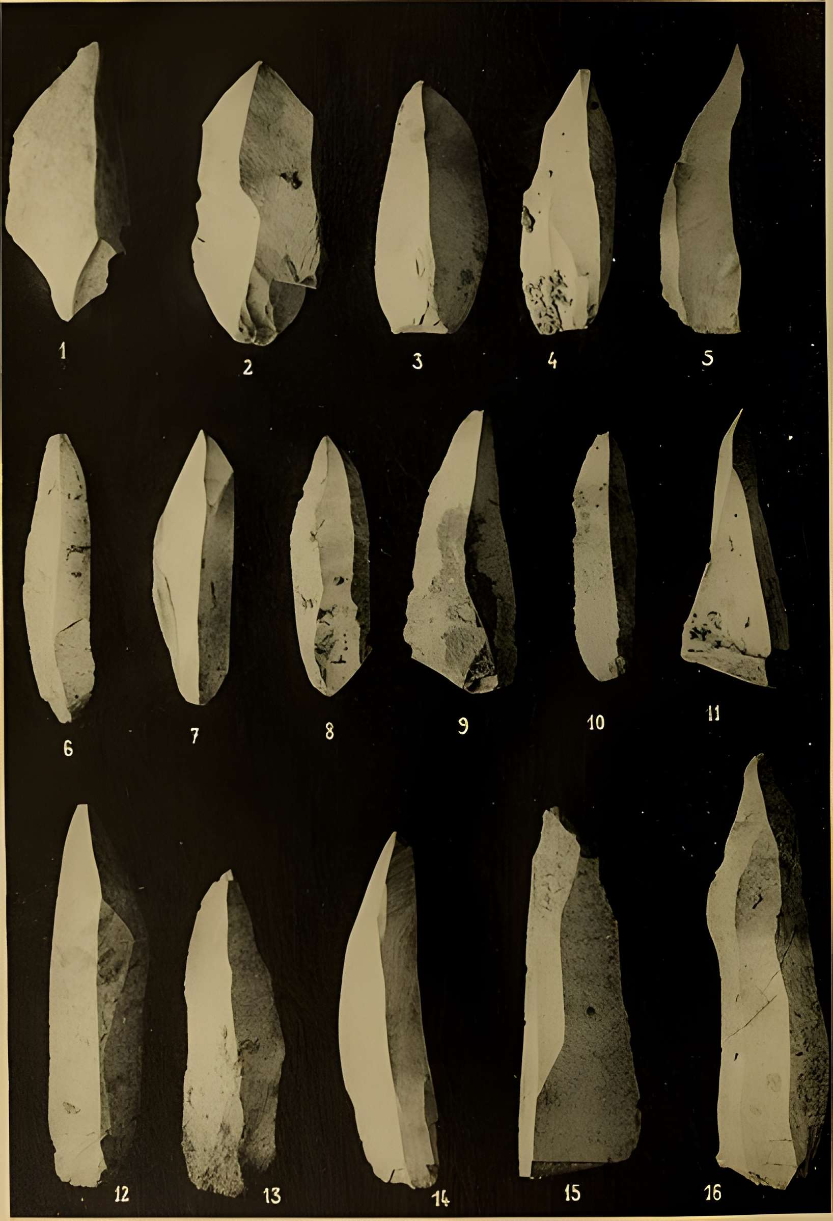 Abri sous roche de la Colombière à Neuville-sur-Ain