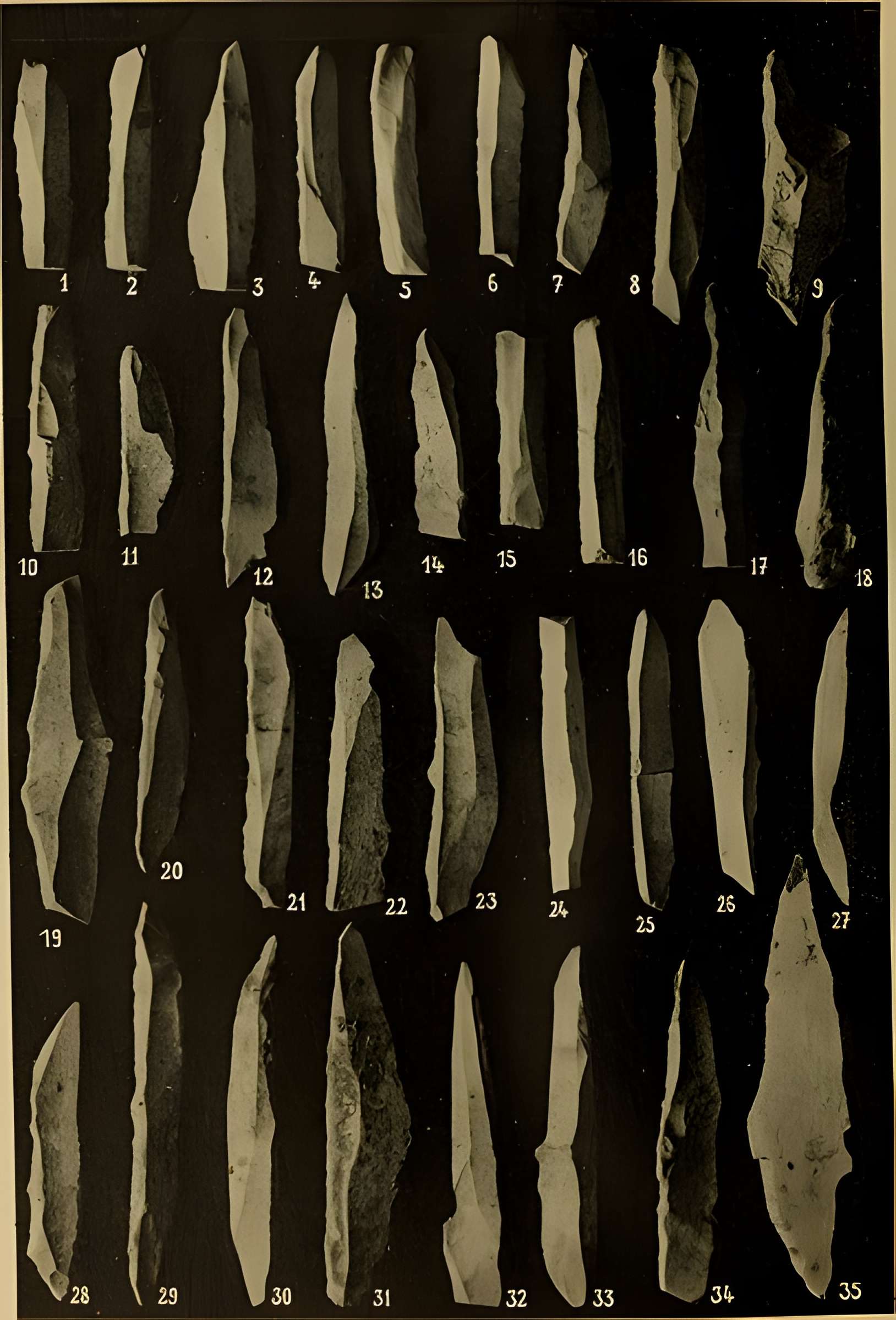 Abri sous roche de la Colombière à Neuville-sur-Ain