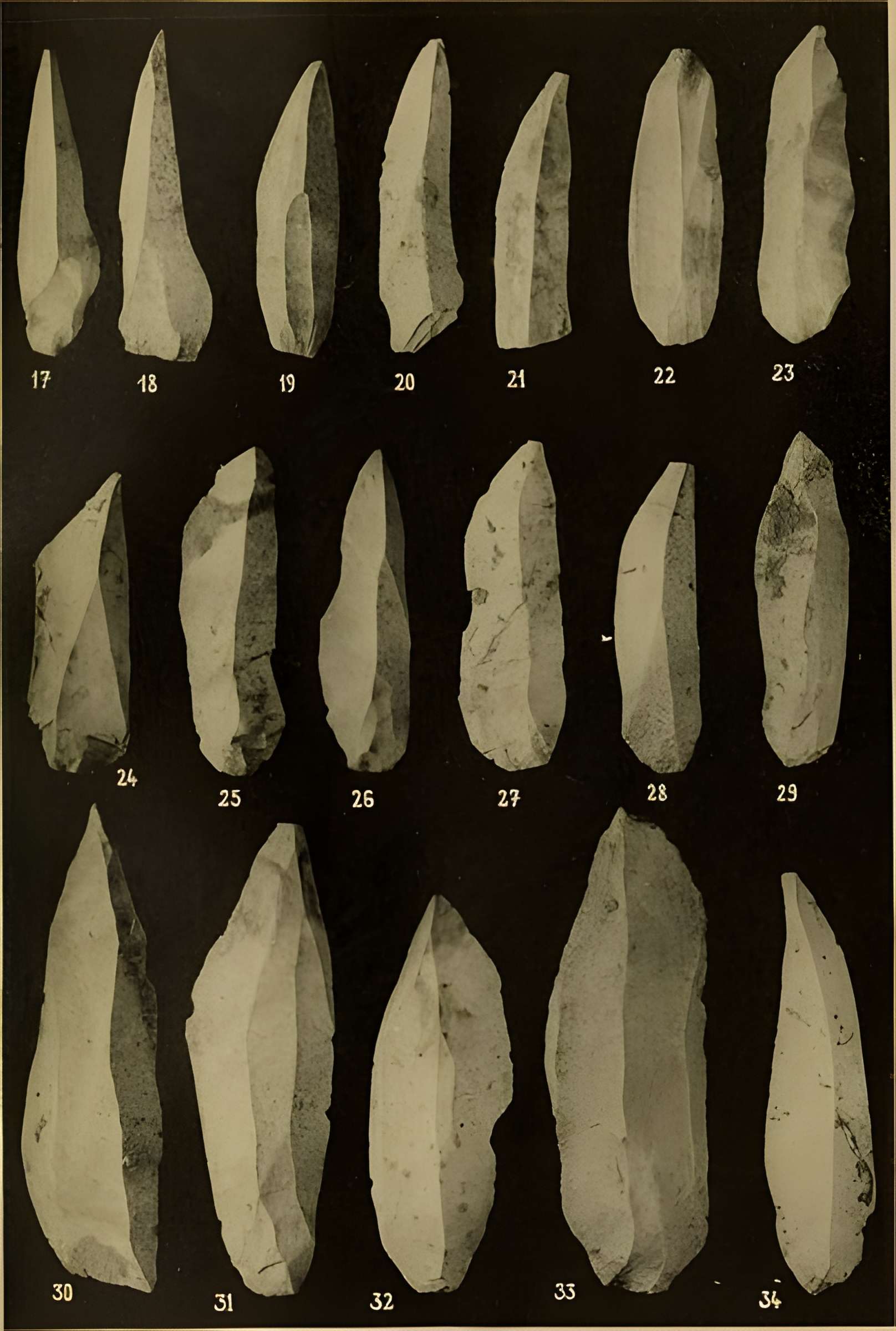 Abri sous roche de la Colombière à Neuville-sur-Ain