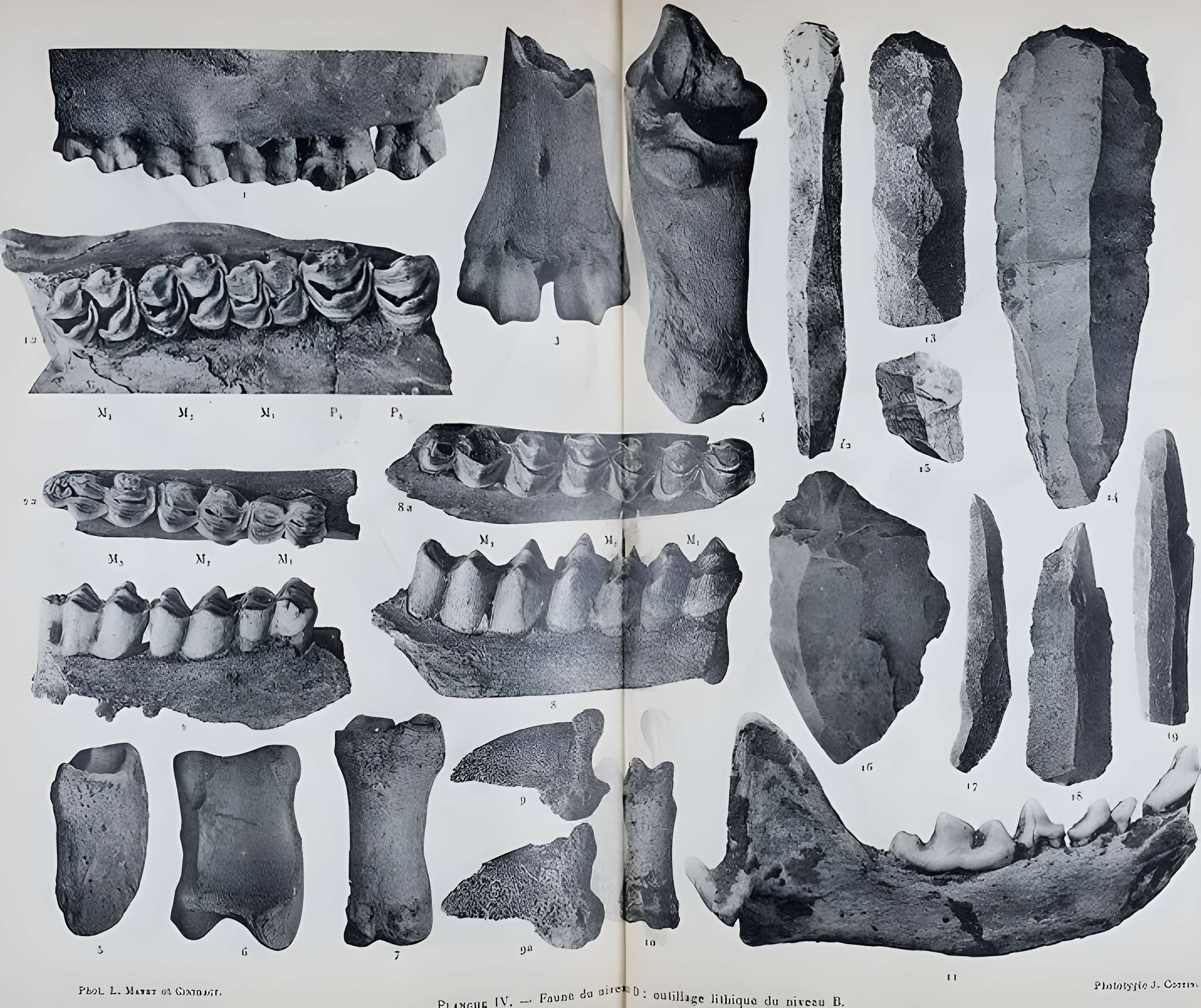 Abri sous roche de la Colombière à Neuville-sur-Ain