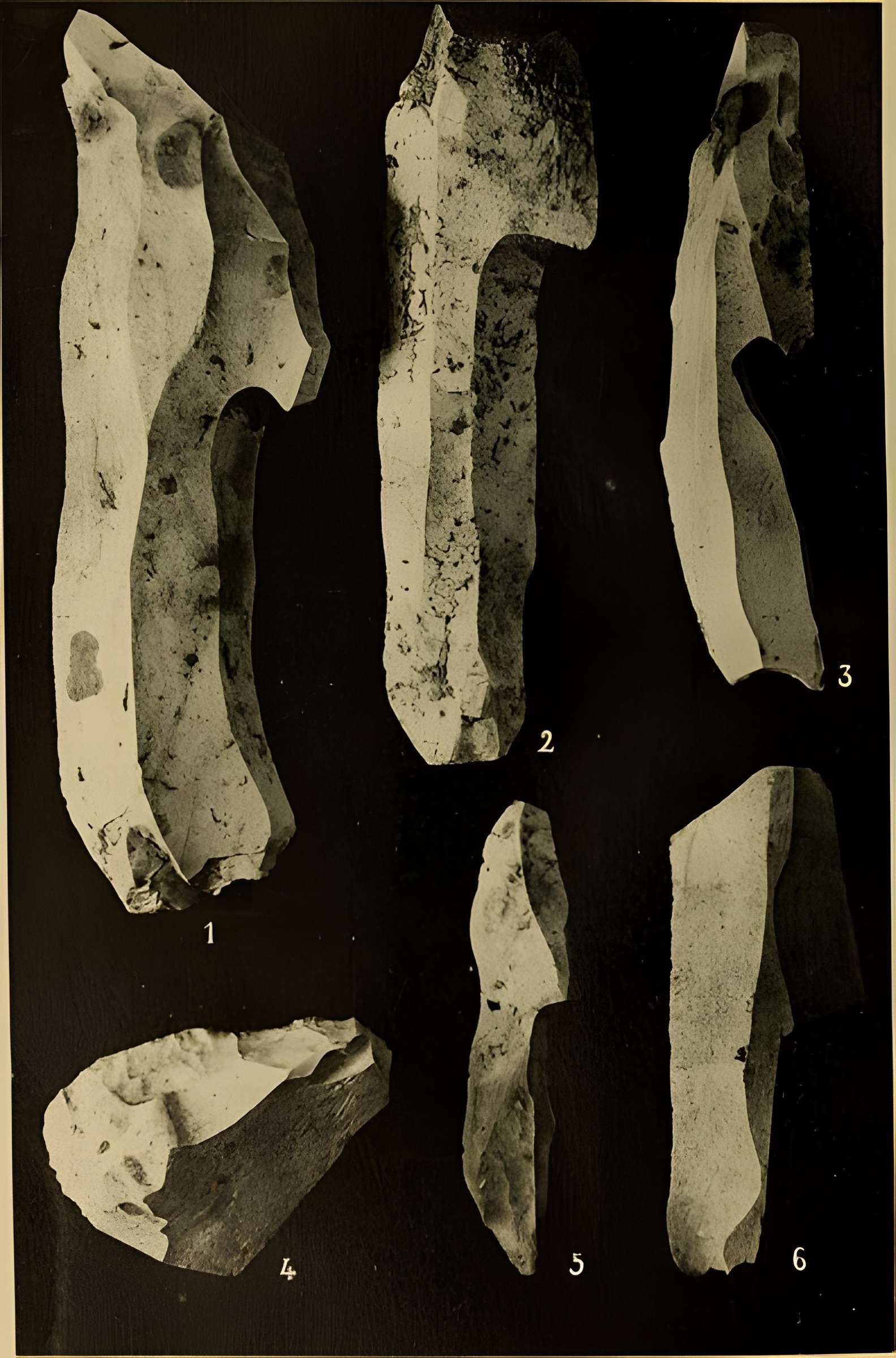 Abri sous roche de la Colombière à Neuville-sur-Ain