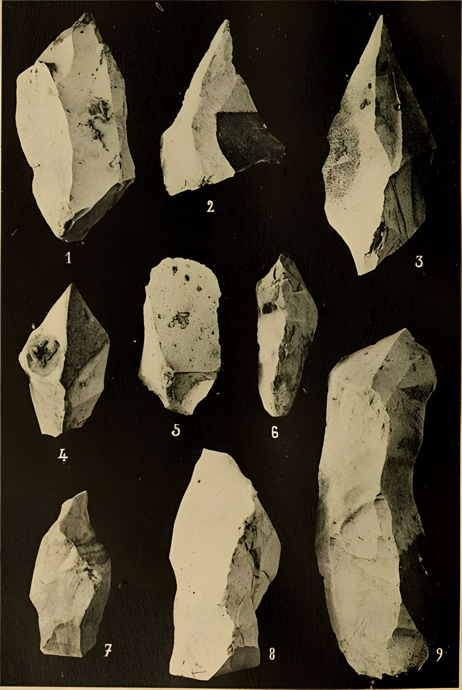 Abri sous roche de la Colombière à Neuville-sur-Ain