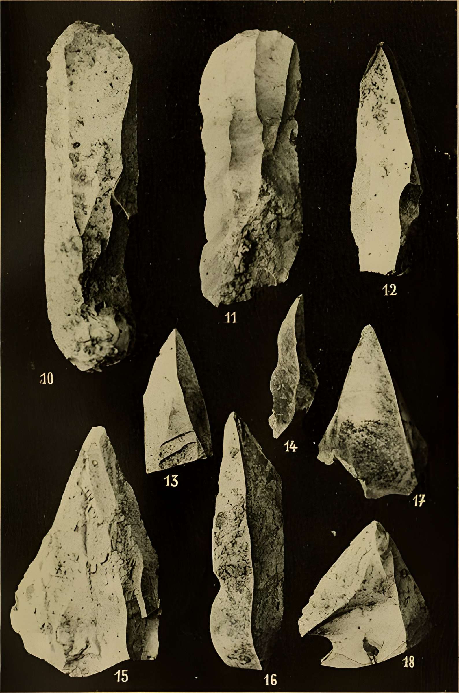 Abri sous roche de la Colombière à Neuville-sur-Ain