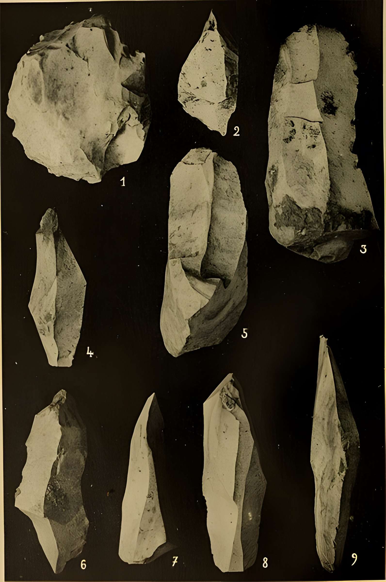Abri sous roche de la Colombière à Neuville-sur-Ain