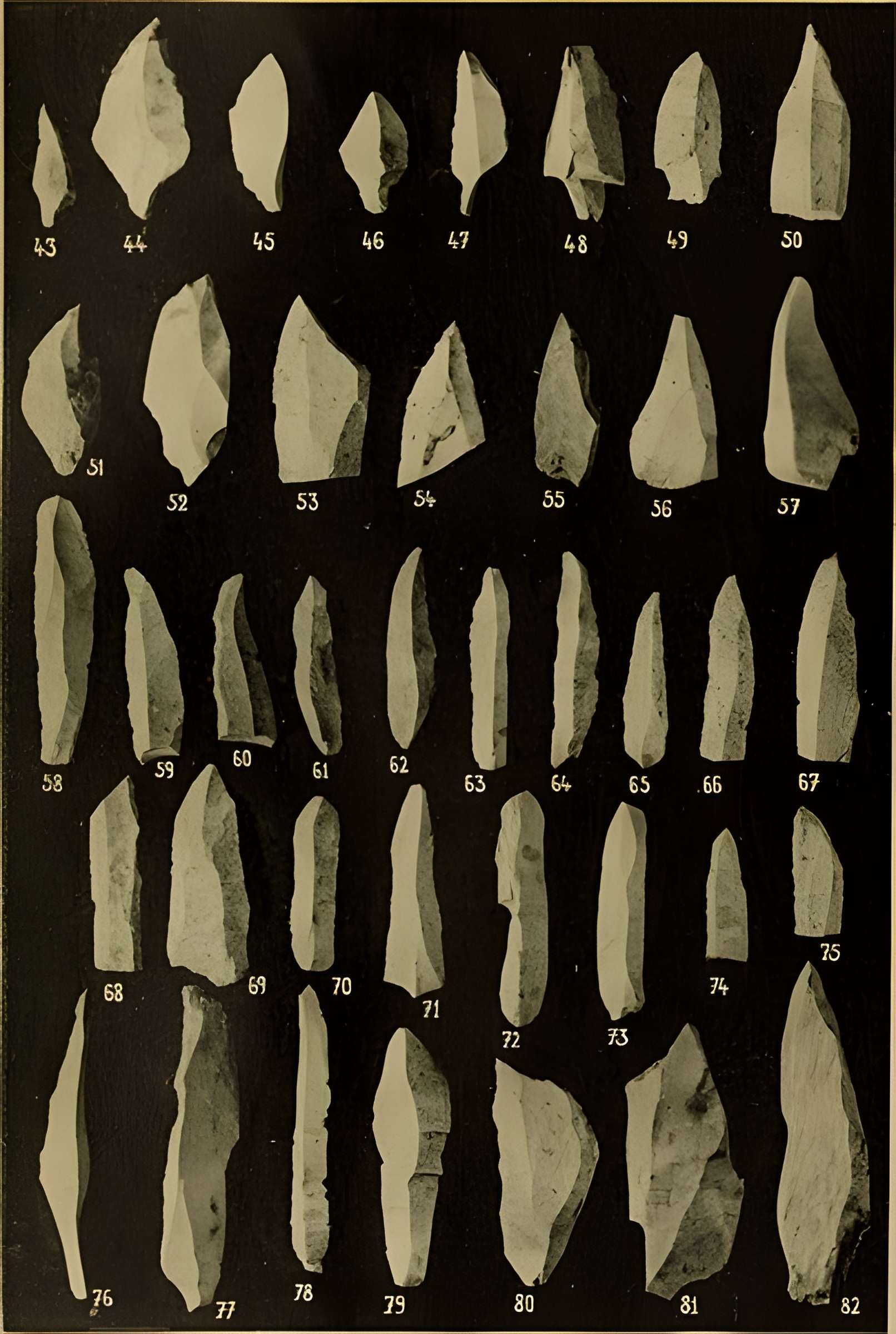 Abri sous roche de la Colombière à Neuville-sur-Ain