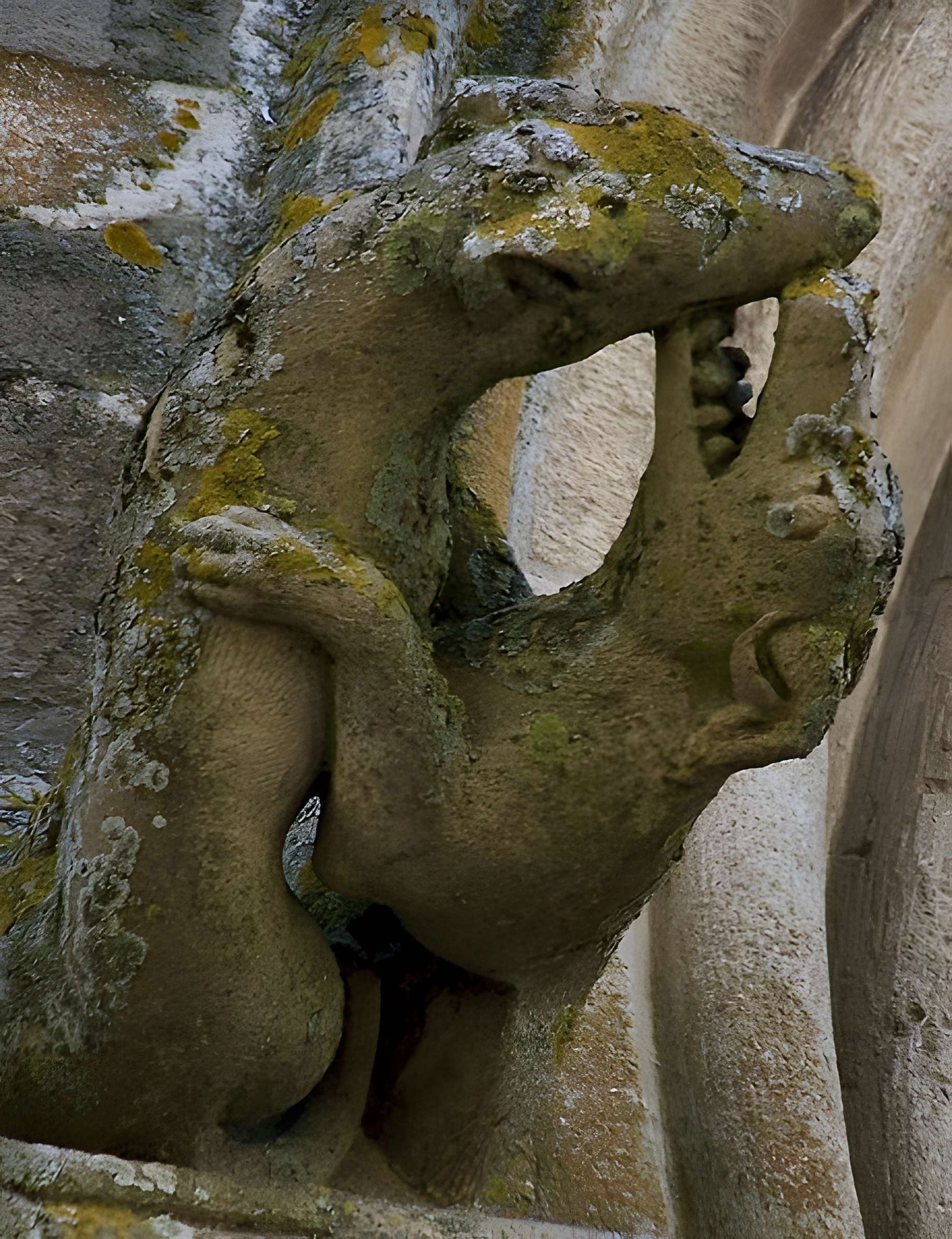 Maison du Grand Veneur de Cordes-sur-Ciel