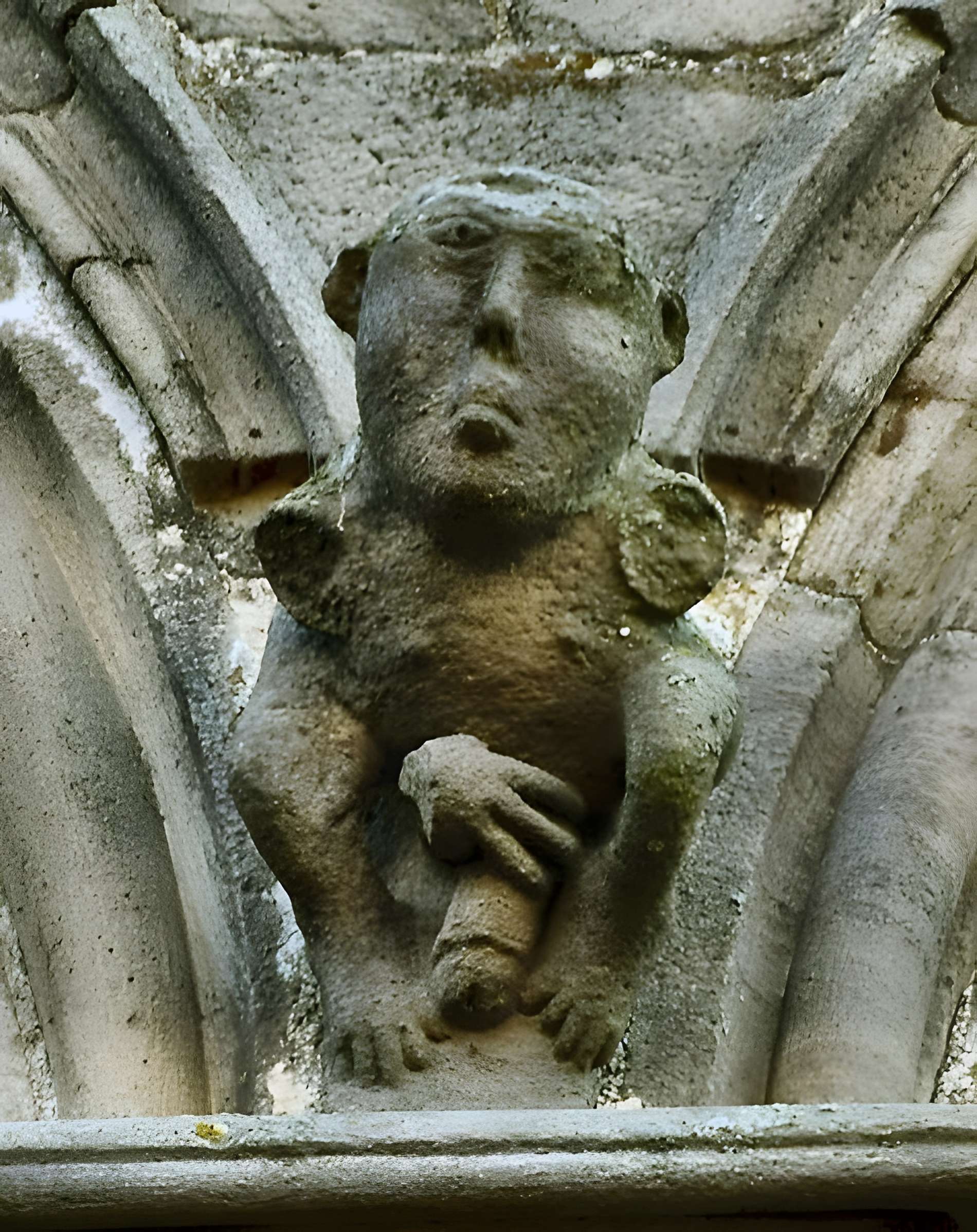 Maison du Grand Veneur de Cordes-sur-Ciel