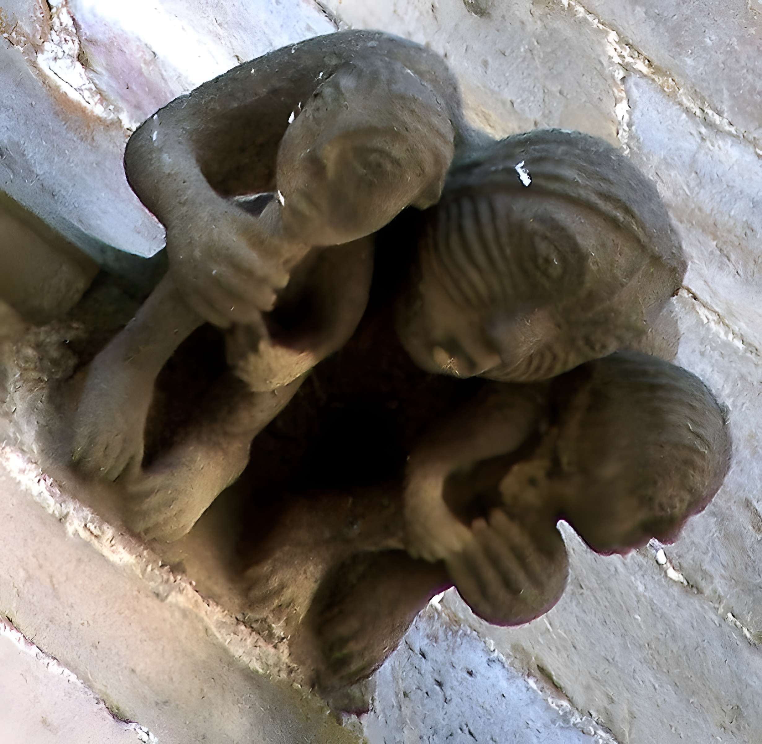 Maison du Grand Veneur de Cordes-sur-Ciel