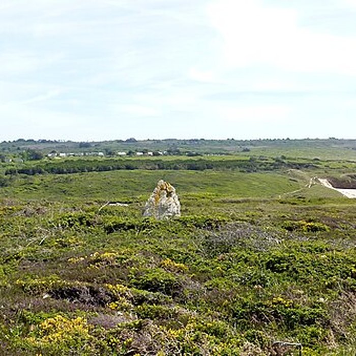 Photo de Alignement mégalithique