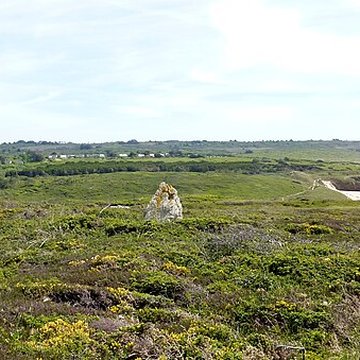 Alignement mégalithique