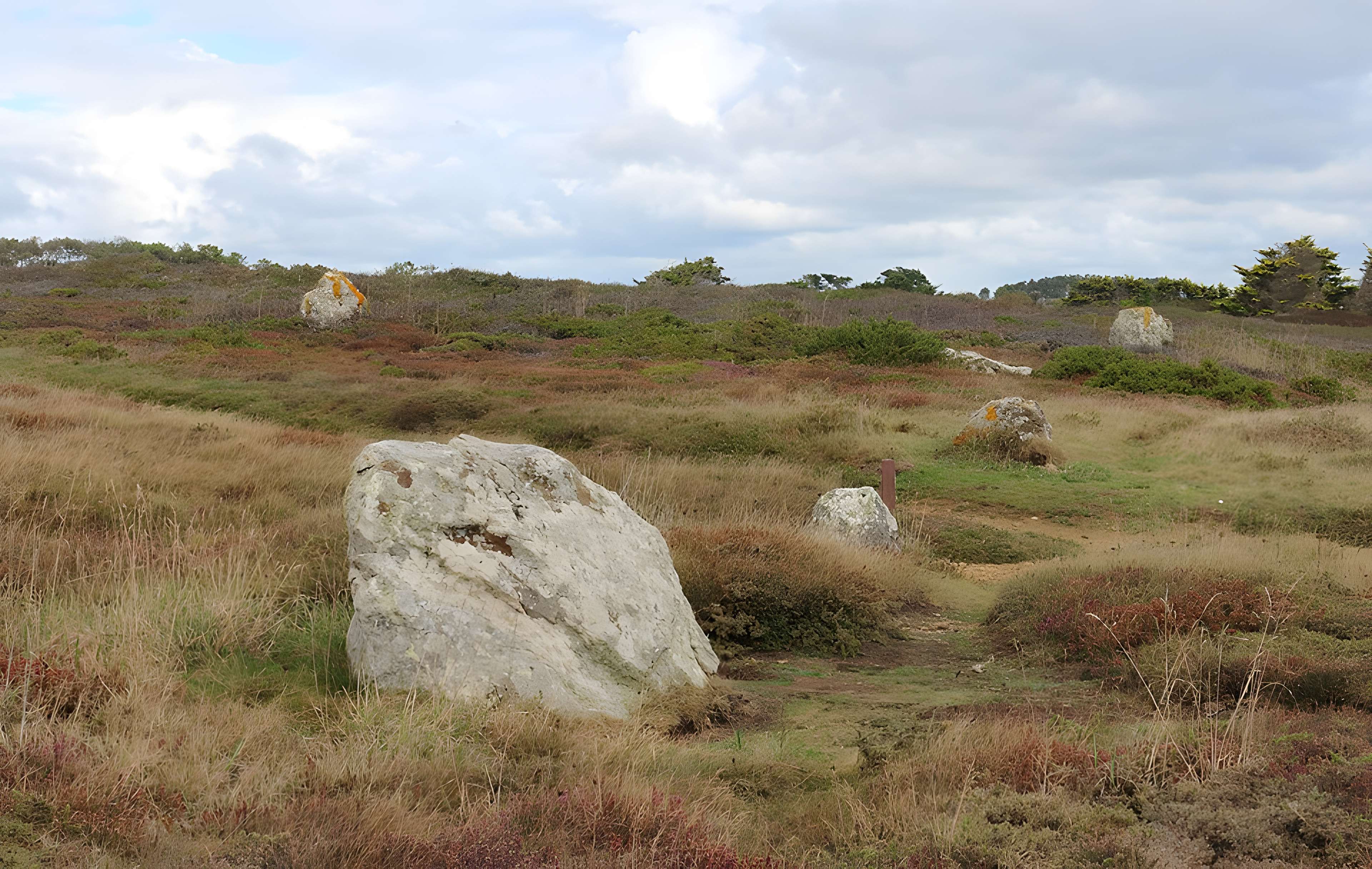 Alignement mégalithique