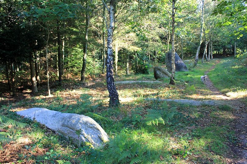 Photo de Alignement de Kornevec à Camors