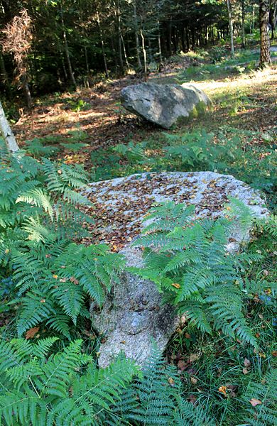 Alignement de Kornevec à Camors