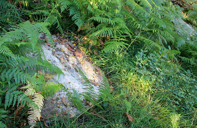 Alignement de Kornevec à Camors