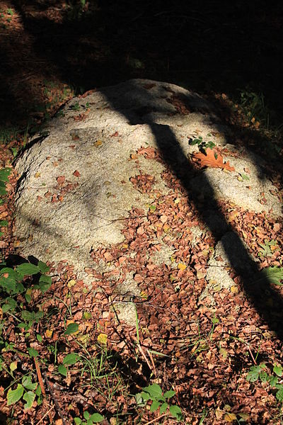 Alignement de Kornevec à Camors
