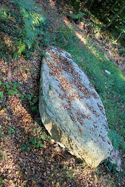 Alignement de Kornevec à Camors