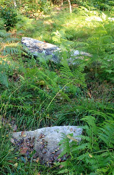 Alignement de Kornevec à Camors